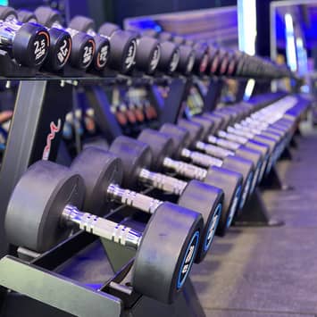 Freihantelbereich für funktionelles Training Hantelreihe im Studio