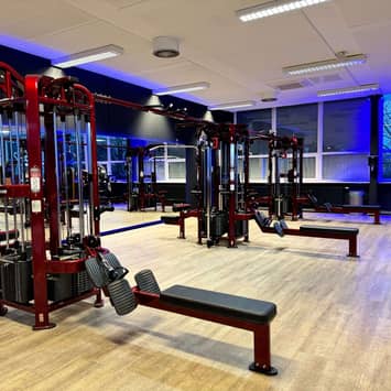 Trainingsbereich mit Geräten für Arme und Rücken Arm- und Rückengeräte im Fitnessstudio
