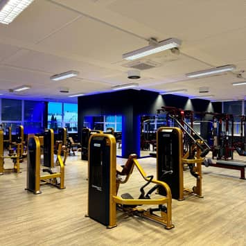 Muskelaufbau-Geräte im Trainingsbereich Muskelaufbau-Geräte im Trainingsbereich