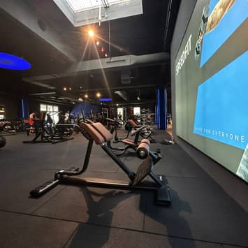 Geräte für effektives Muskeltraining Muskeltrainingsgeräte im Studio