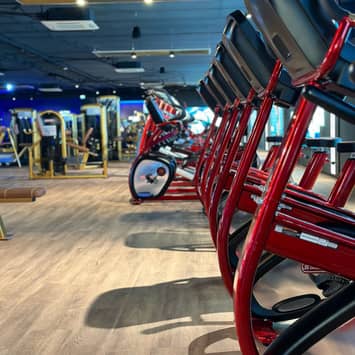 Cardio-Bereich mit zahlreichen Crosstrainern Reihe von Crosstrainern
