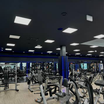 Übersicht über den großen Trainingsbereich mit vielen Geräten Viele Geräte im Trainingsraum