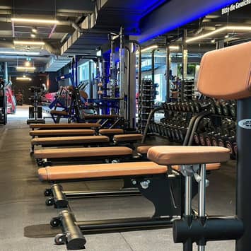 Freihantelbereich mit mehreren Trainingsbänken Trainingsbänke im Bereich
