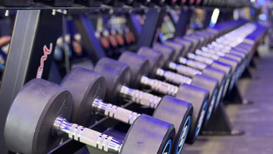 Freihantelbereich für funktionelles Training Hantelreihe im Studio