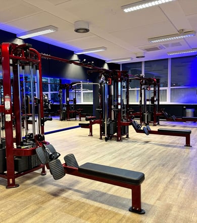 Arm- und Rückengeräte im Fitnessstudio