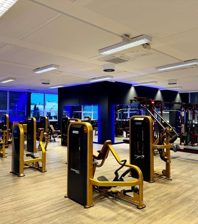Muskelaufbau-Geräte im Trainingsbereich