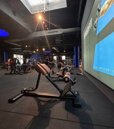 Muskeltrainingsgeräte im Studio
