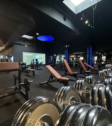 Hanteln und Trainingsbänke in Reihen