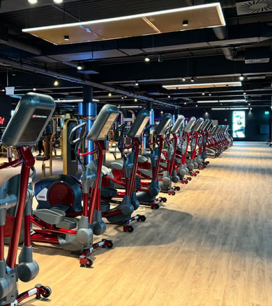 Große Cardiozone