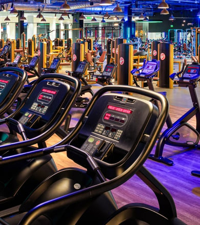 Große Cardio-Zone mit Laufbändern und Bikes