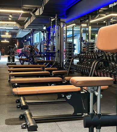 Trainingsbänke im Bereich