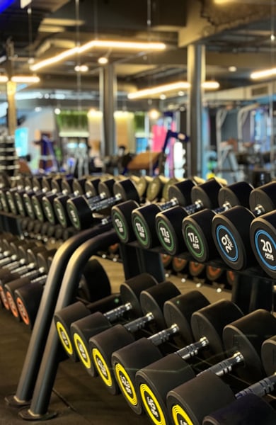 Speedfit Gym Klosterneuburg – Your Modern Fitness Studio