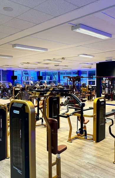 Speedfit Gym Traiskirchen – Your Modern Fitness Studio