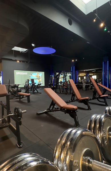 Speedfit Fitnessstudio Wiener Neustadt – Dein modernes Gym